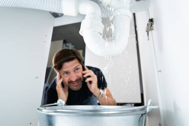 Best Plumbing Repair Near Me  in Alpine, TX