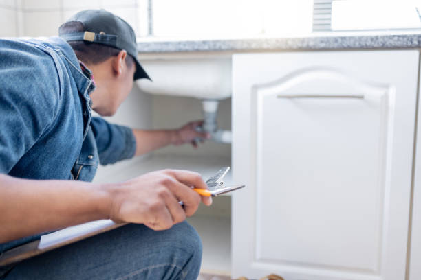 Best Toilet Repair Services  in Alpine, TX
